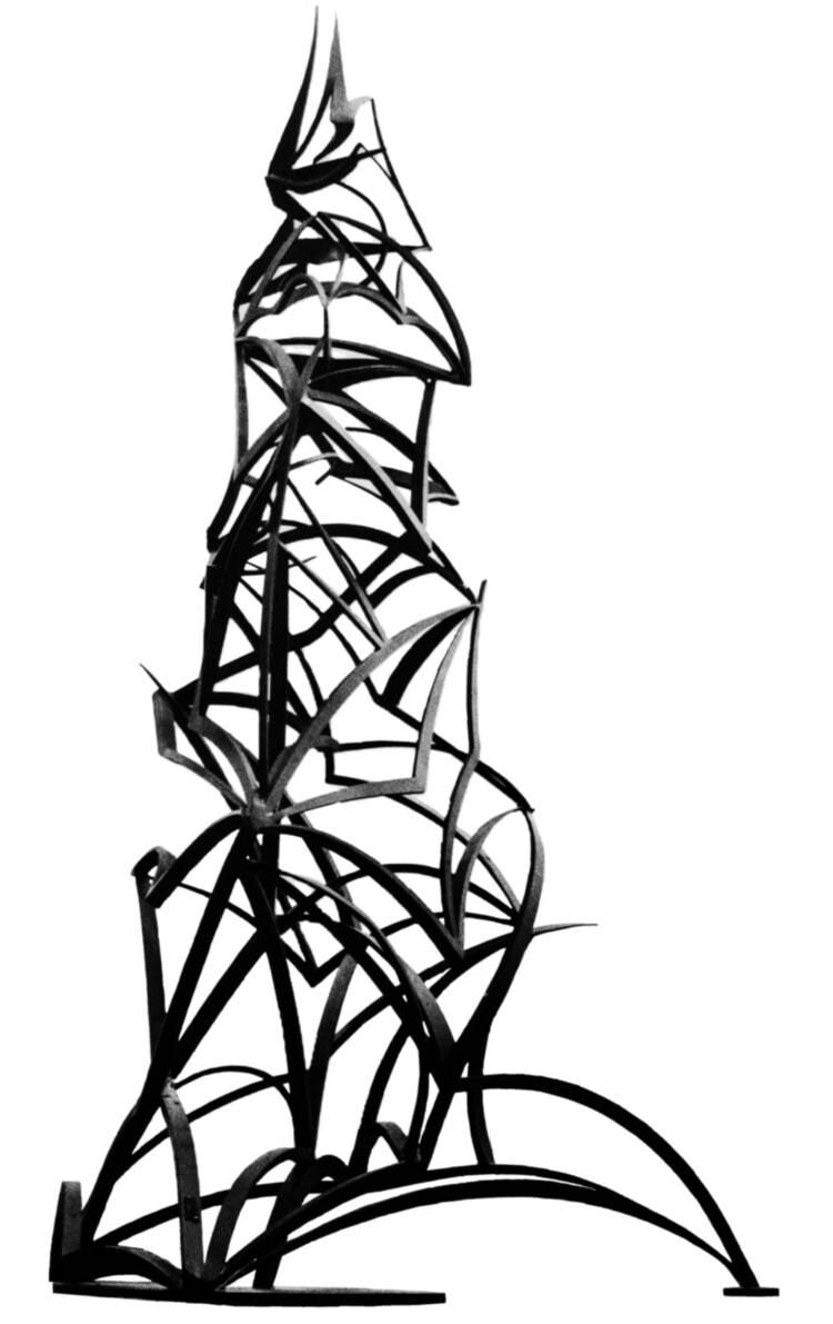 79-5 Albero nero 1 S E