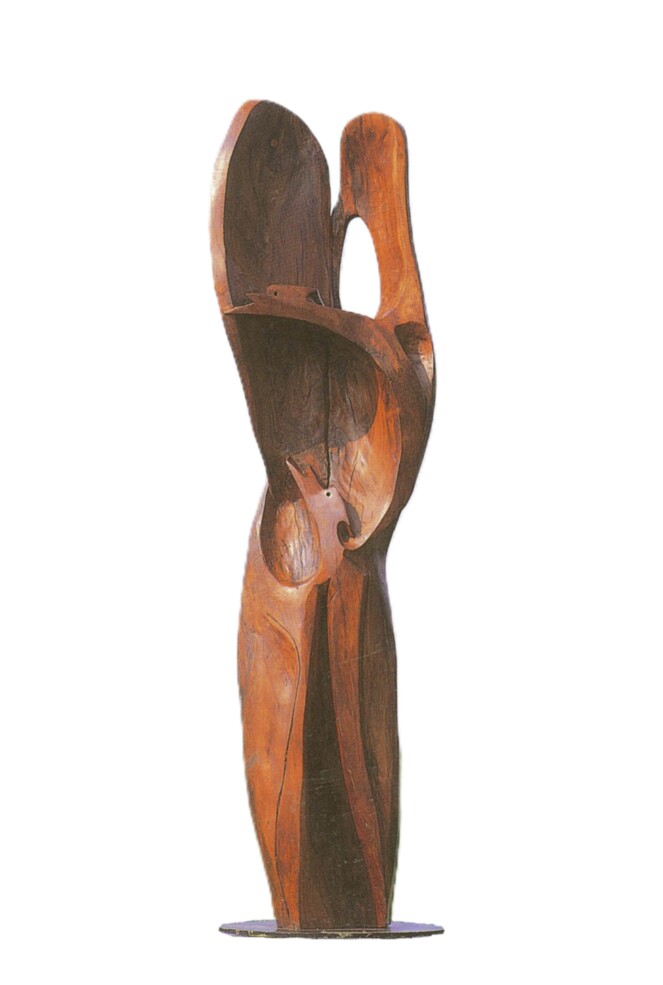 82-5 I due galli 3 SE