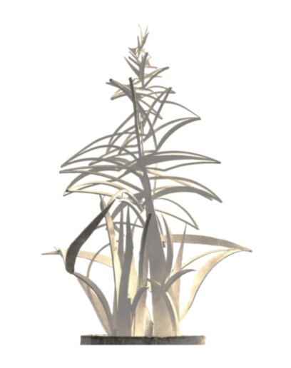 80-5 Albero bianco 1 S