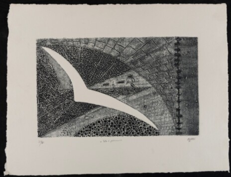 81-5 Volo di gabbiano