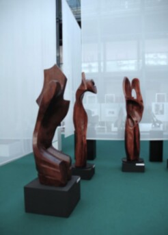 143 DSC_7229-0020- SG2011