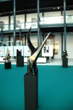 7B DSC_7298-0155- SG2011