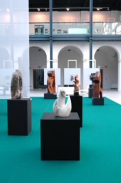 30A  DSC_7322-0138- SG2011