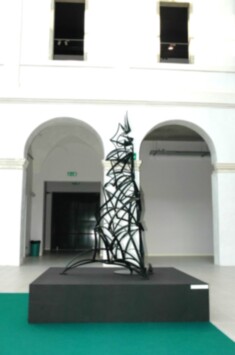 22A DSC_7278-0112- SG2011