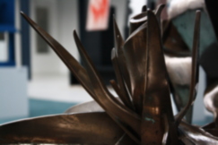 16M1 _MG_0850-0001-0040- SG2011