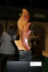 36 copia-0145- SG2011