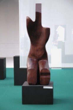 144  DSC_7226-0021- SG2011