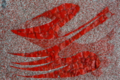 28 _MG_0837-0134- SG2011