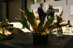 16M3 _MG_0857 copia-0001-0042- SG2011