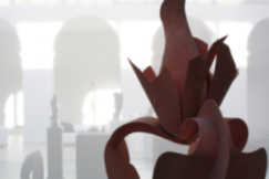 19E _MG_0750_2-0065- SG2011