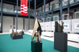 13 DSC mostra-17-0013- SG2011