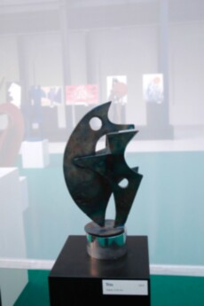 12 DSC_7294-0010- SG2011