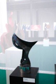 11 DSC_7293-0007- SG2011